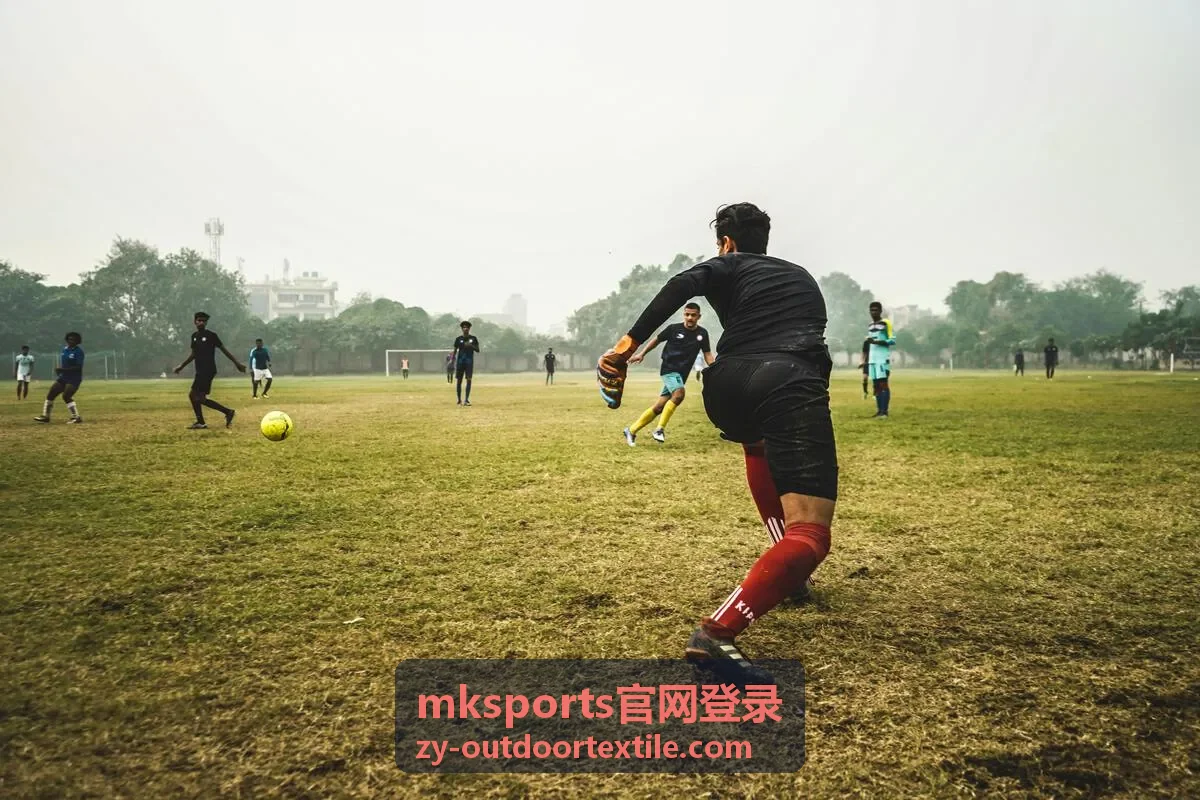 mksports官网登录冲锋衣装备资料配图