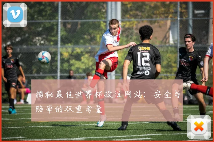 揭秘最佳世界杯投注网站:安全与赔率的双重考量