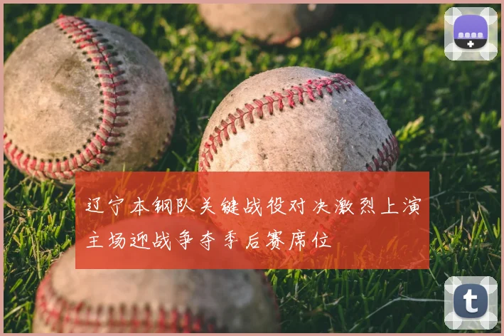 辽宁本钢队关键战役对决激烈上演主场迎战争夺季后赛席位