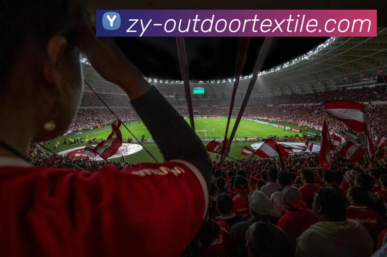 多媒体互动体验